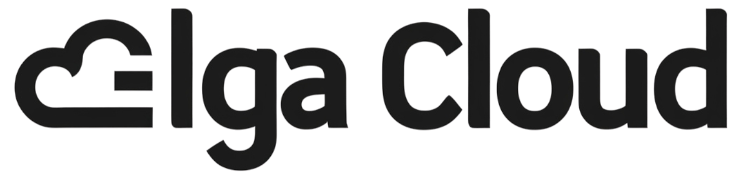 Elga Cloud - Best Web Hosting in India